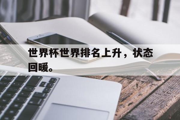 开云体云app官网登录入口-世界杯世界排名上升，状态回暖。