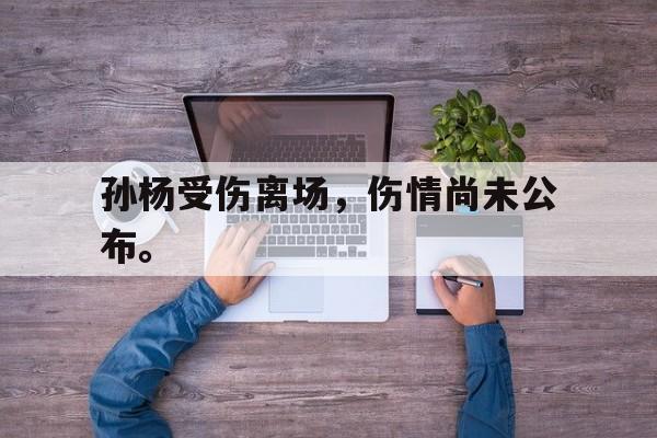 开云体云app官网登录入口-孙杨受伤离场，伤情尚未公布。